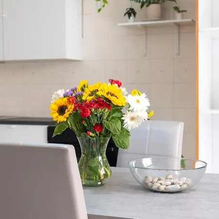 Centro, Dm 게스트하우스 3*