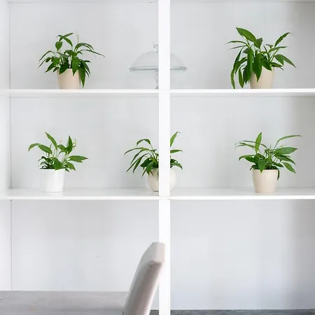 Centro, Dm 3* 나폴리