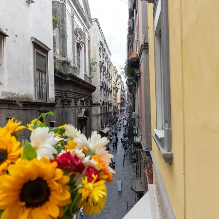 게스트하우스 Centro, Dm 나폴리