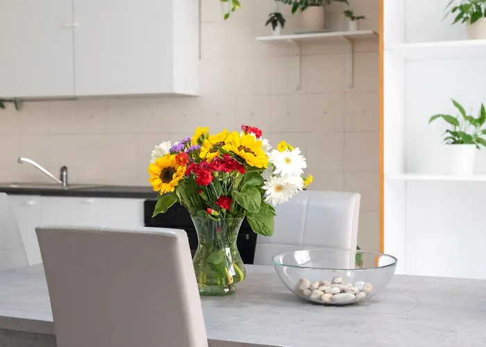 Centro, Dm Pensjonat 3*